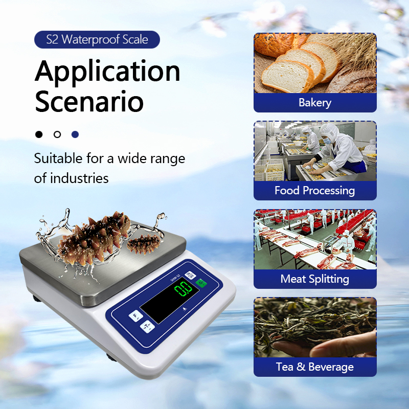 430 Stainless Steel Plate S2 Waterproof Electronic Small Scale with IP68 Protection Level