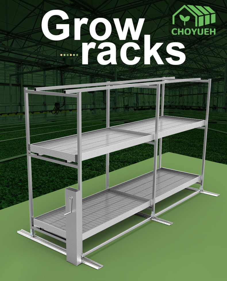 Construction Irrigation Holding Stands Intelligent Home Hydroponic Lettuce Aquaphonics Growing System