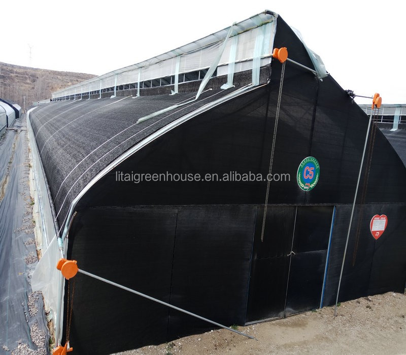 Film Covered Mushroom Cultured Greenhouse for Mushroom Cultivation and Easy Assembly
