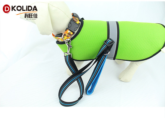 Eco - Friendly Fancy 6 Foot Nylon Dog Leash For Doggie Walking