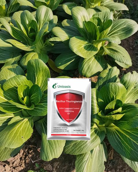 Microbial Non Toxic Plant Insecticide Bacillus Thuringiensis Btk 32 High