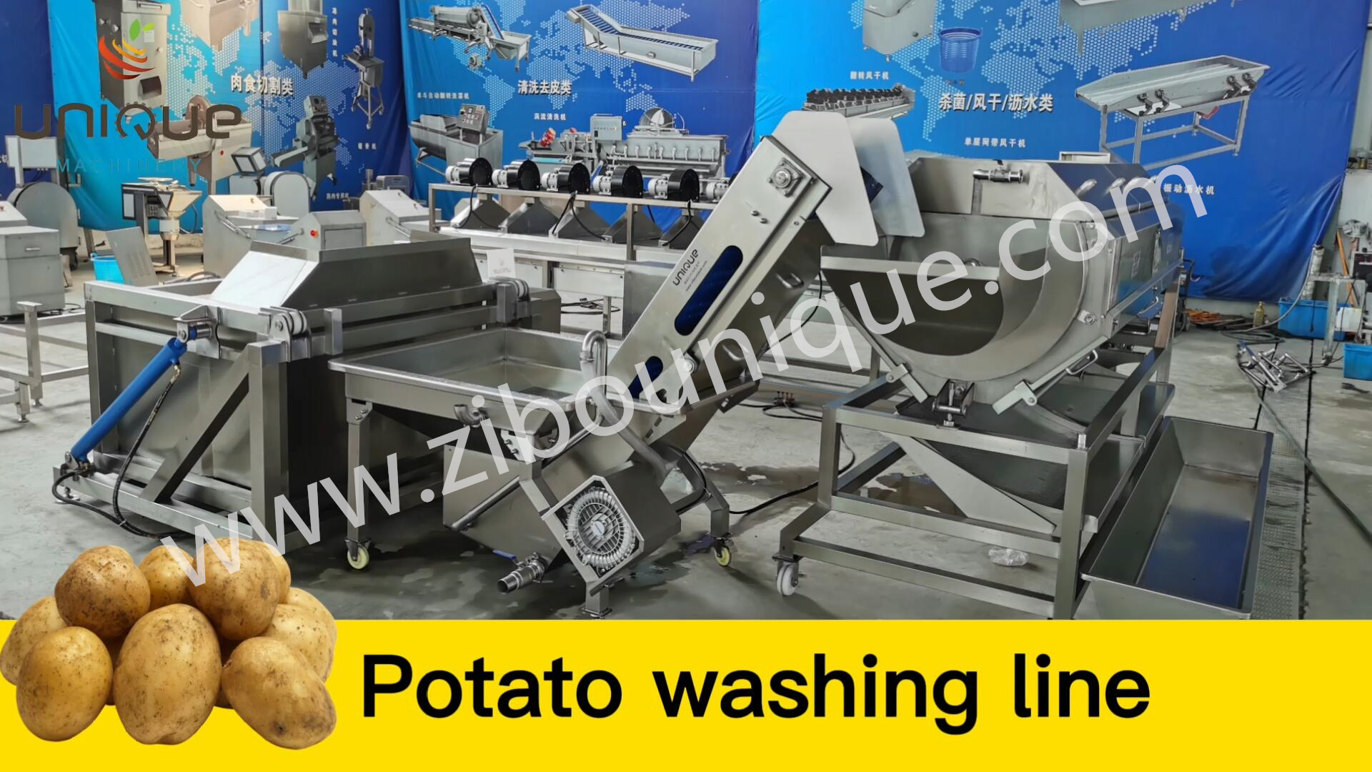Cut Leafy Vegetables Industrial Automatic Cabbage Slicer Coleslaw Kimchi Cutting Machine