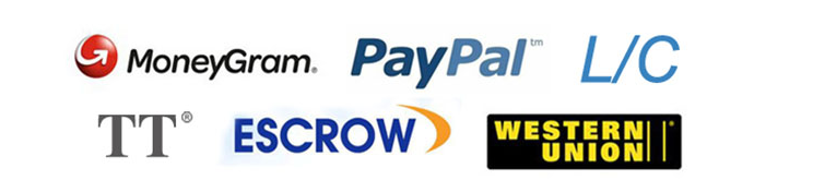 Payment