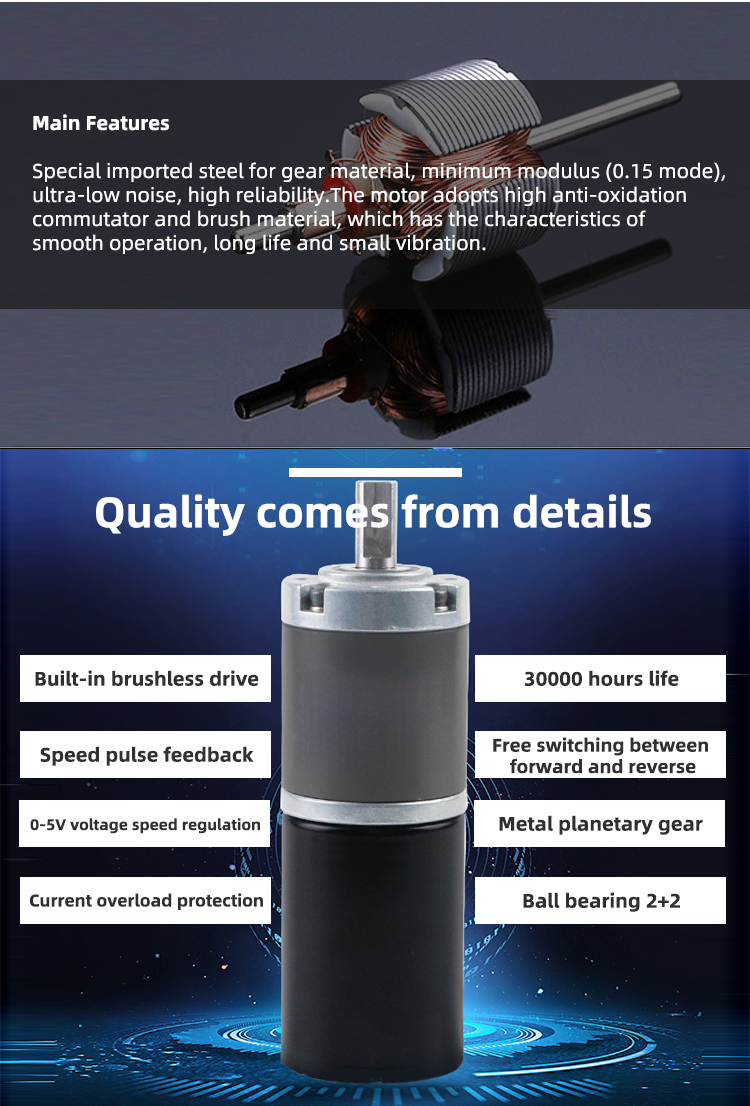 Faradyi Hot Selling 63Mm 12V 24V 36V 48V Brush Planetary Gearbox Dc Gear Motor
