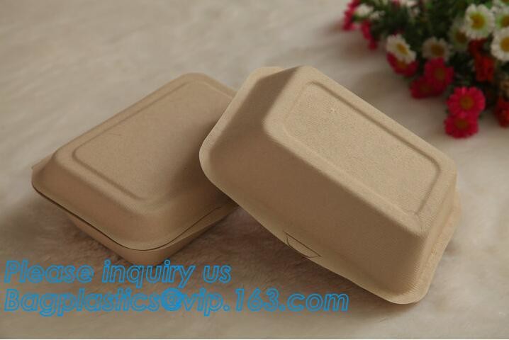 Meal Prep Containers Free Sample Bento Lunch Box Biodegradable Food Container Plastic Wheat Straw Lunch Box bagplastics