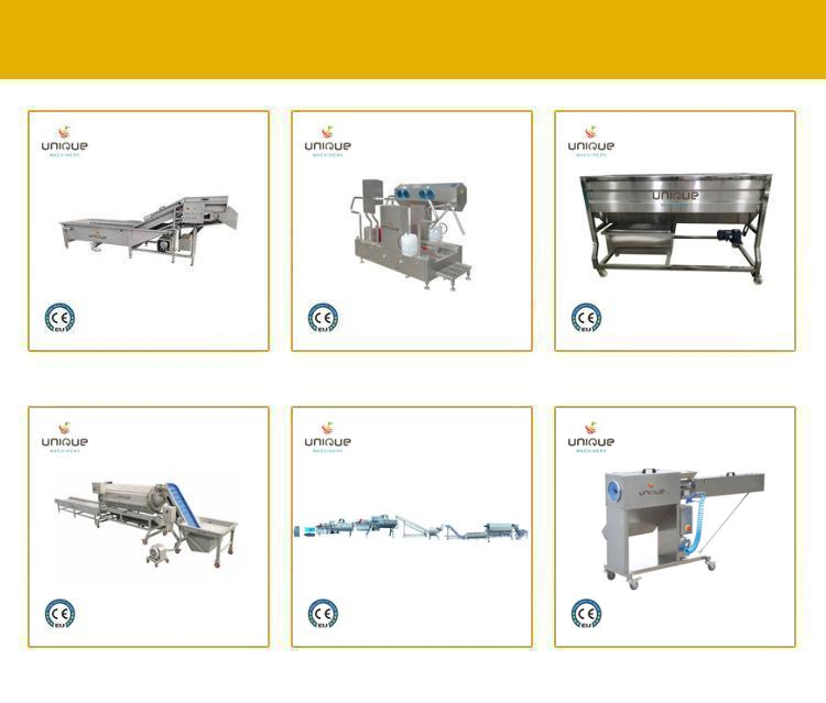 Palm Dates Washing Machine for Industrial Syrup Production in Customized Voltage