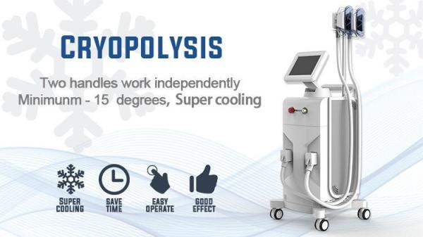 Highly Safety Freeze Fat Machine , Fat Removal Slim Freeze Fat Freeze Slimming