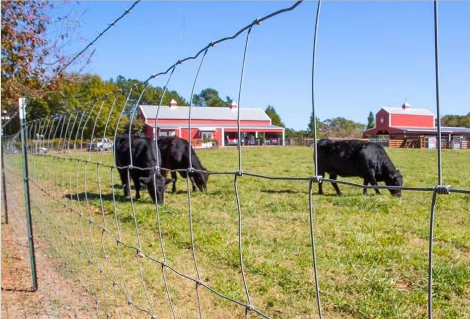 Fixed Knot Woven Wire Field Fence Galvanized Sheep Farm Fence