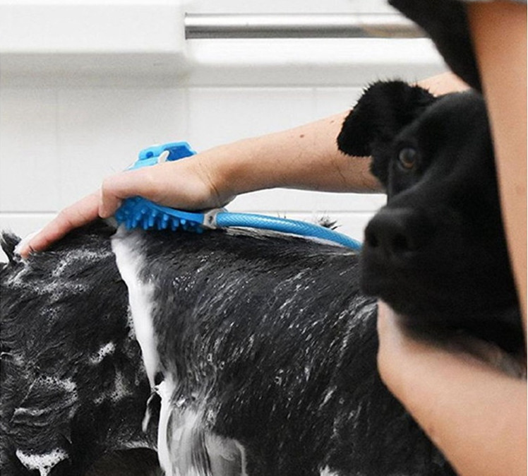 Massage Dog Shower Sprayer Brush Dog Grooming Shower Sustainable