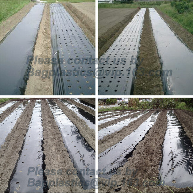 Transparent / Black / Silver / White color Plastic PE LDPE Agriculture Mulching Film,panda strawberry mulch film/black w