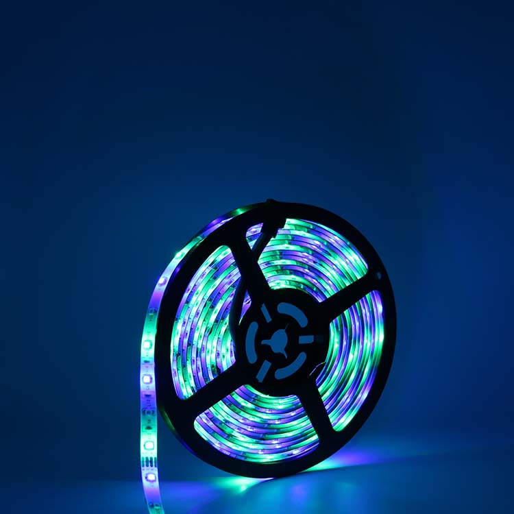 Remote Contol Dreamcolor LED Strip Lights Smd 2835 Ws2812 2811