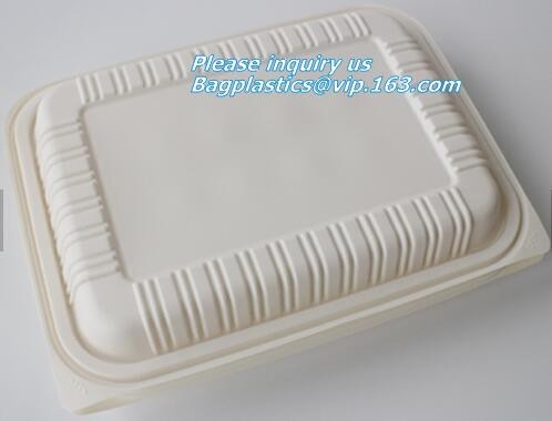 Meal Prep Containers Free Sample Bento Lunch Box Biodegradable Food Container Plastic Wheat Straw Lunch Box bagplastics