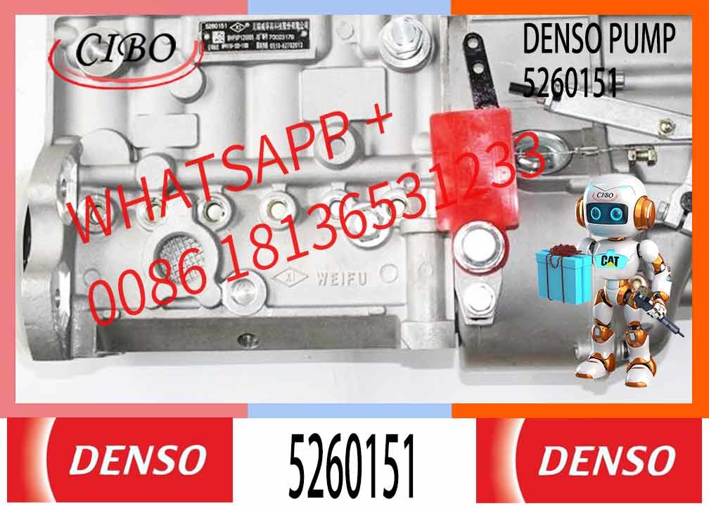 New Diesel Engine Spare Parts Fuel Injection Pump For Cummins 6LTAA8.8/340 30 Truck Engine 6PH110 1001130120 5260151