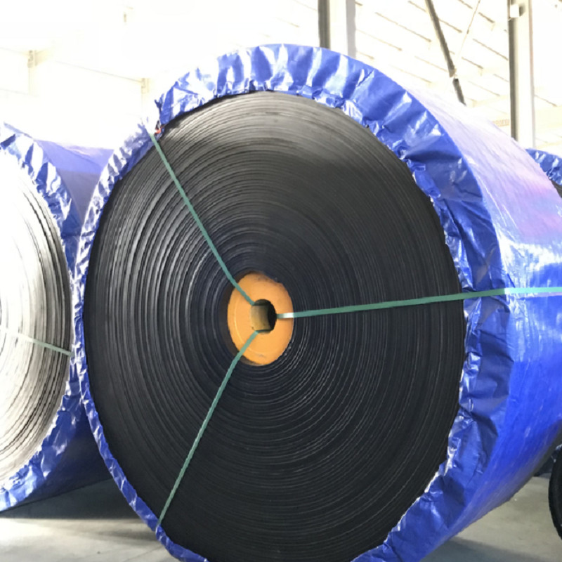OEM 6mm-30mm Cold Resistant Conveyor Belt ST1600