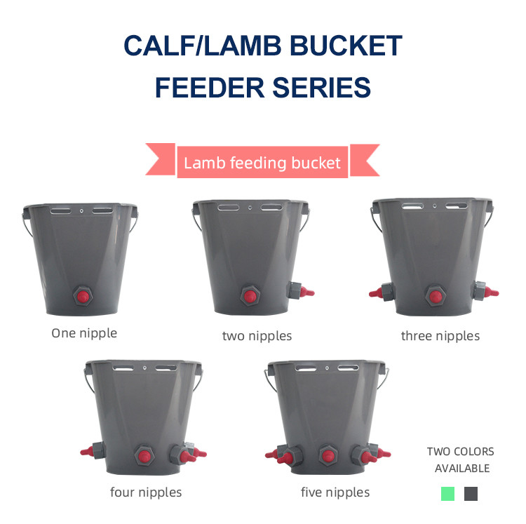Green/Gray 8000ml Plastic Baby Goat Feed Container with 2 to 4 Feeding Nipple
