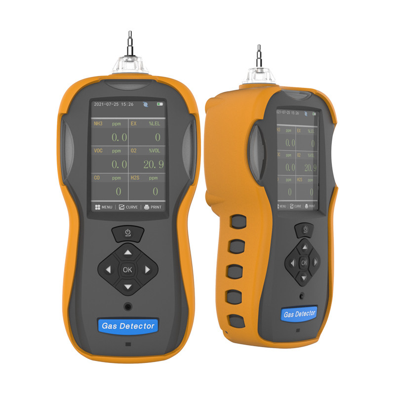 Hand Held Gas Testing Equipment , Pumping Suction Industrial Gas Monitors