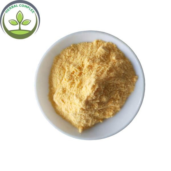 mango juice powder buy best organic dried mango uses of ?health benefits