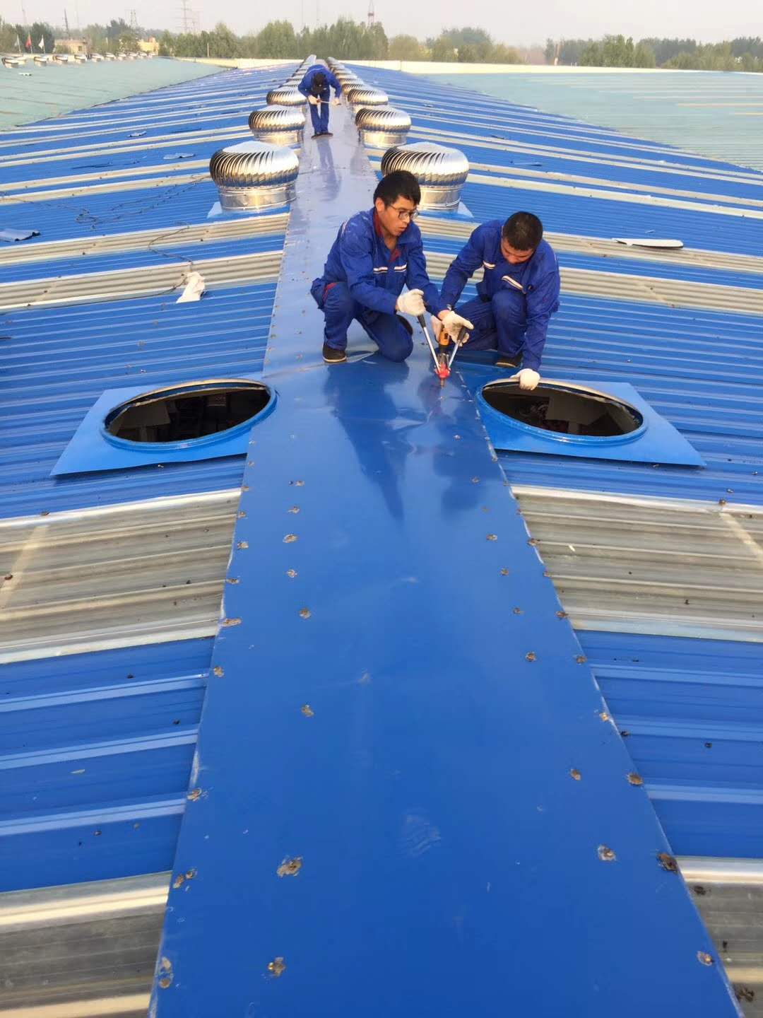 Source Factory Stainless Steel Roof Ventilating Fan Without Power Wind Drive Poultry Pig Farm Turbine Roof Exhaust Fans