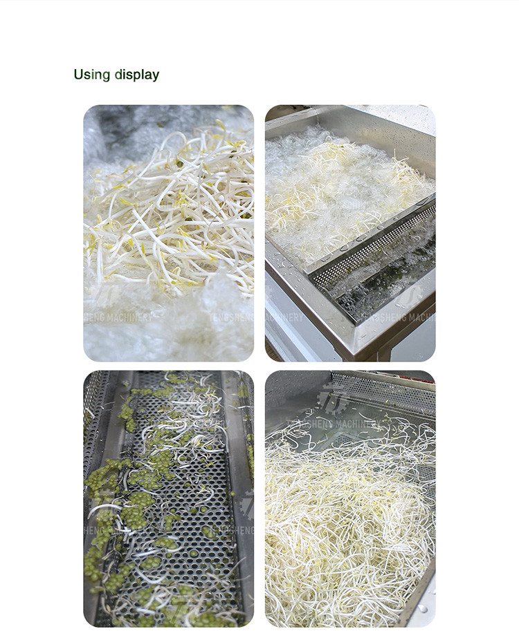 85KG Small fruit and vegetable processing equipment stainless steel single cylinder cleaning machine