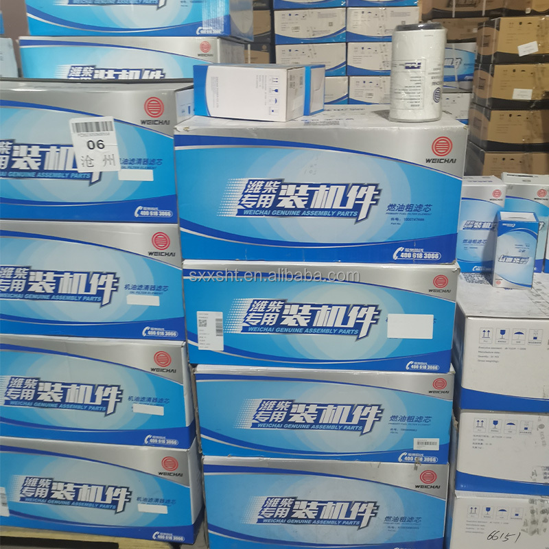 HOWO A7 13010970 13055724 12122713 13031726 1000491060 13031726 12122713 Oil Filter Fuel Filter