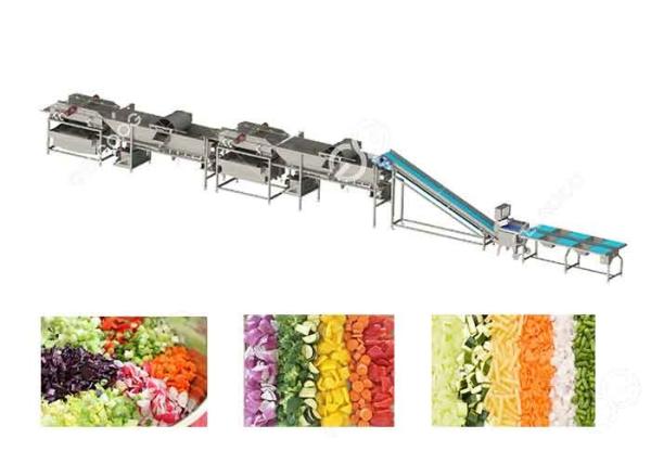 Commercial Vegetable Fruit Washing Equipment Vegetable Processing Line for