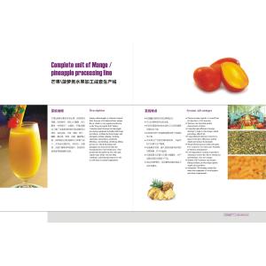 Mango Juice Making Machine Mango Processing Line Fully Automatic PLC Control
