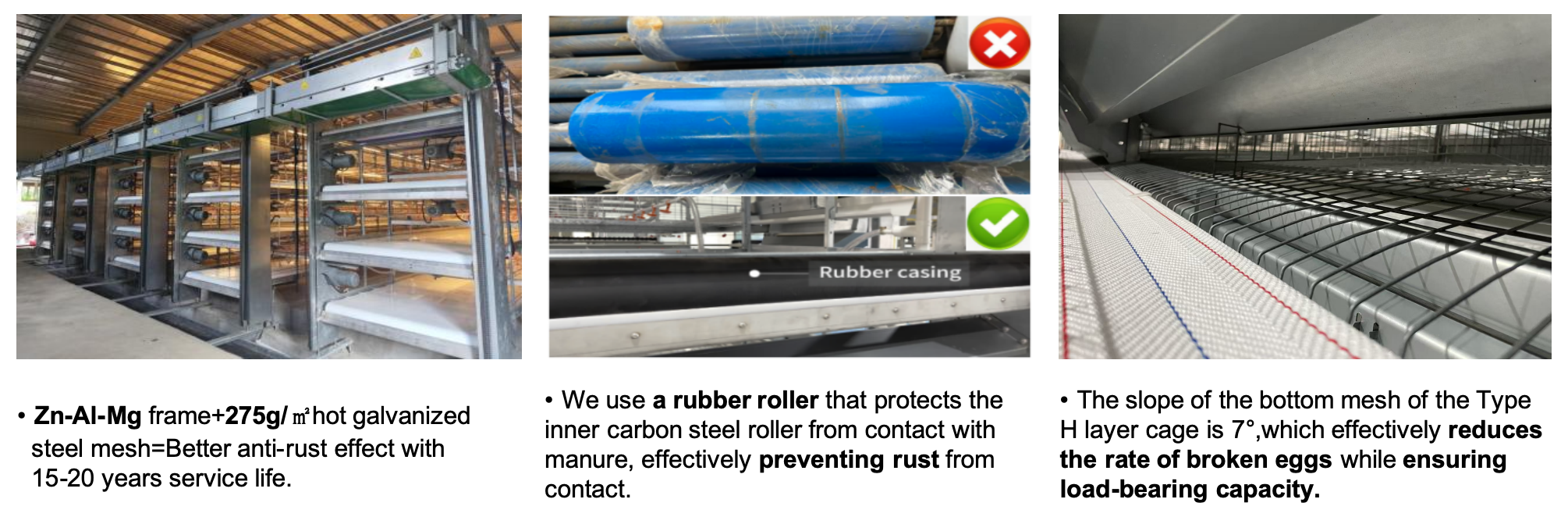 “H” Type Layer Cage Equipment