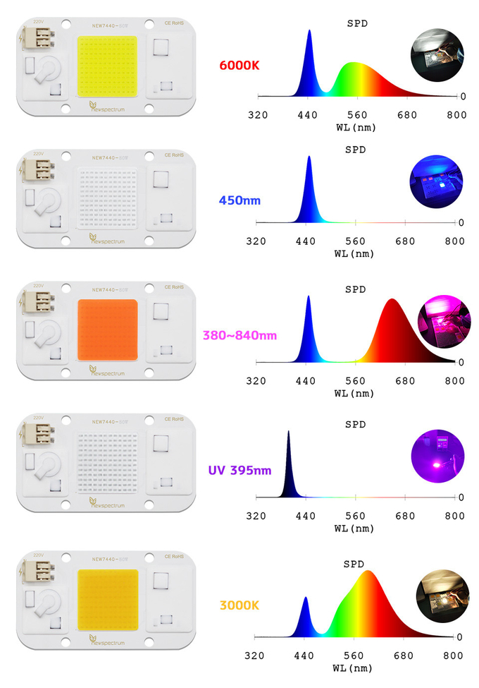High Brightness 50 Watt Cob Led UV Diode 395nm OEM No Welding
