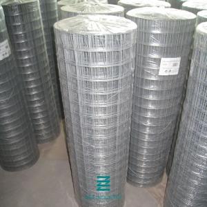 Plain Weave Welded Wire Fence Roll Galvanized Iron Wire Fencing Mesh Hole 1/2" X