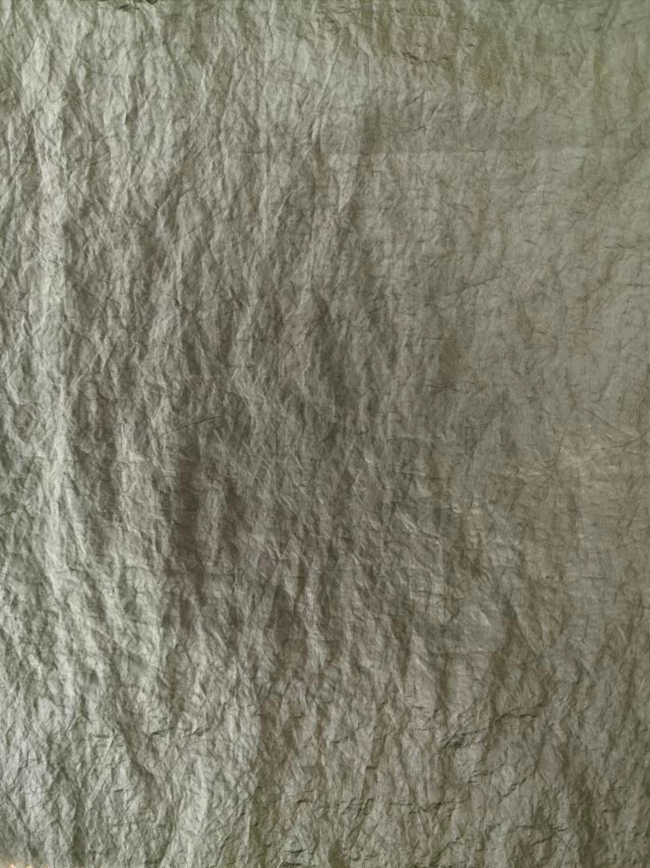 40D/2*20D 100%N 69GSM Nylon fabric