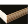 Buy cheap Formwork EKRW-006 LVL Board from wholesalers