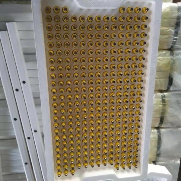 360 Degree Automatic Chicken Water Nipple Drinker Feeders