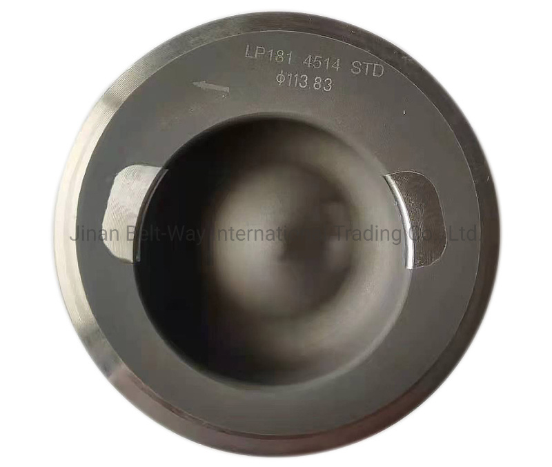 New Arrival Engine Part Piston 3919565 for Cummins 6CT