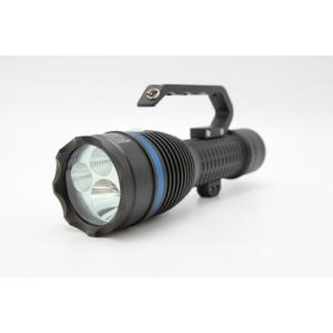 LED Customizable Torch Server Explosion Proof Lighting IP66 WF2 Protection