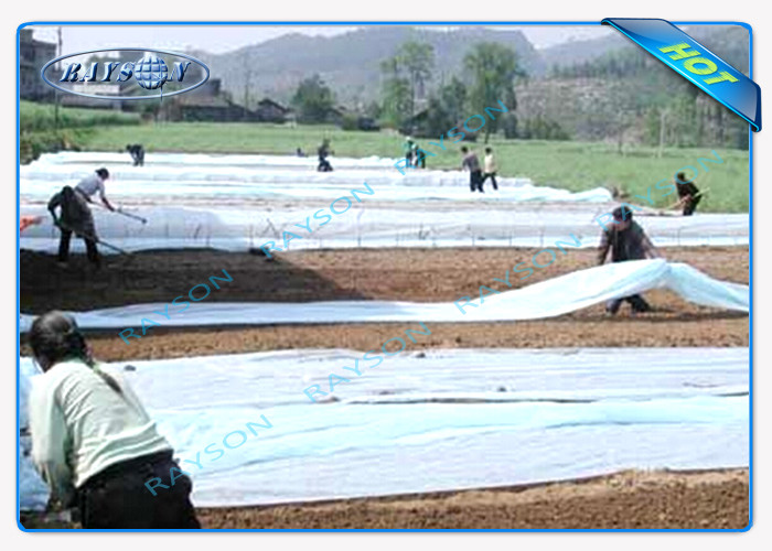 Reusable Max 46m Joint Width PP Spunbond Nonwoven For Plant Growth