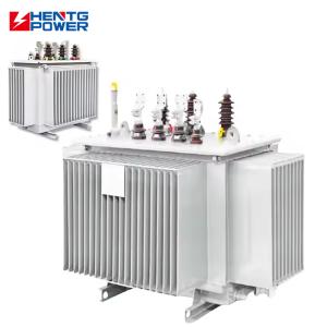 Custom Step Down 22kV Oil Immersed Power Transformer with IP00-IP65 Protection and Layered Winding for Industrial Use