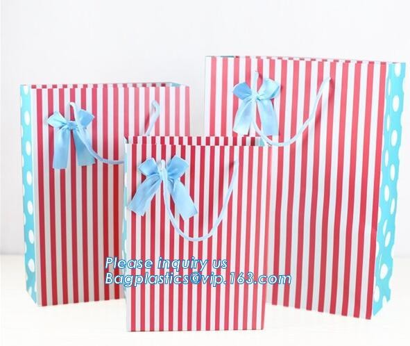 Luxury Rope Handle Laminated Paper Carrier Bags,brand Luxury laminated manila carrier paper hand bag, bagplastics, bagea