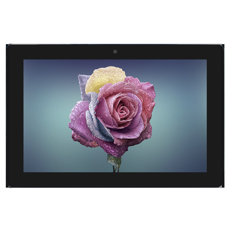10 Points Capacitive 0.297mm LCD Touch Screen Monitor USB SD Port