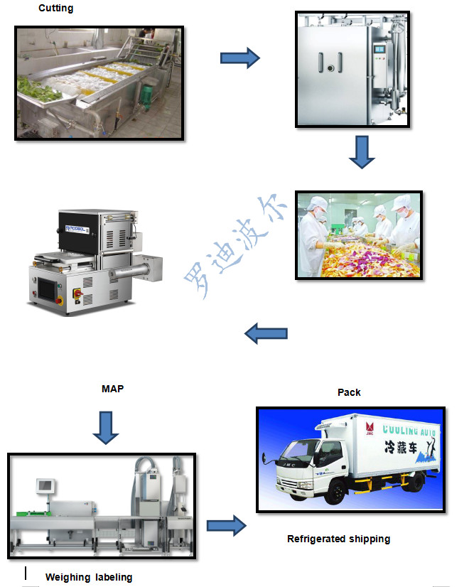 Food Table Top Tray Sealing Machine MAP Stretch Film N2 CO2 O2 Gas Filling