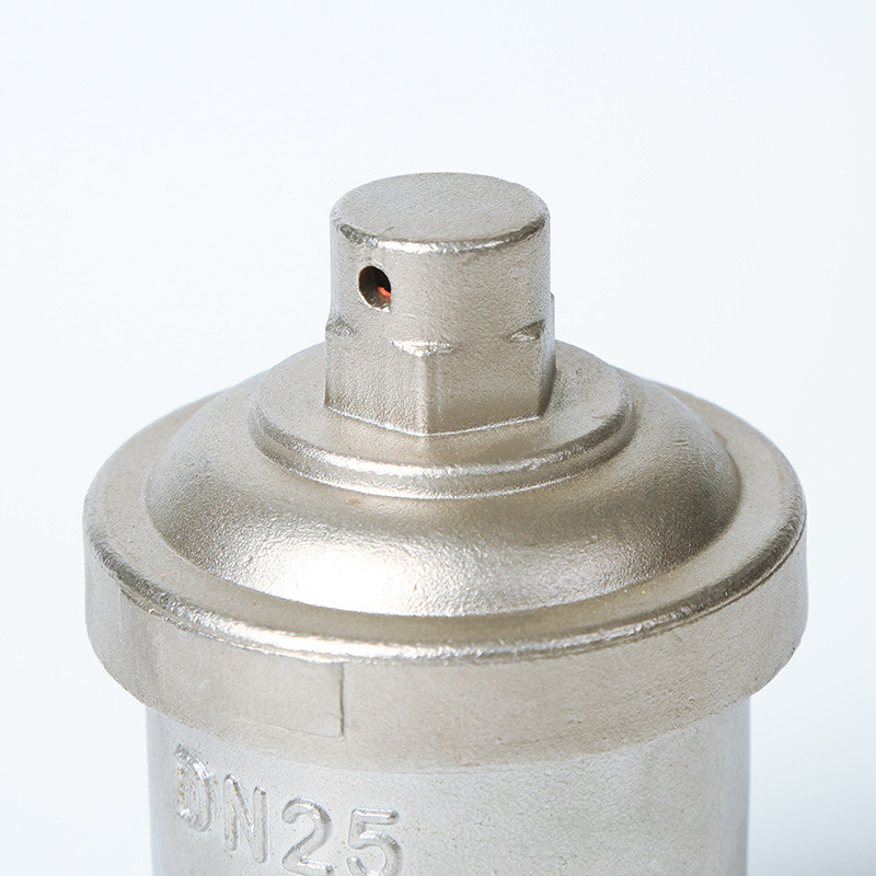 Female Threaded Exhaust Valve CF8
