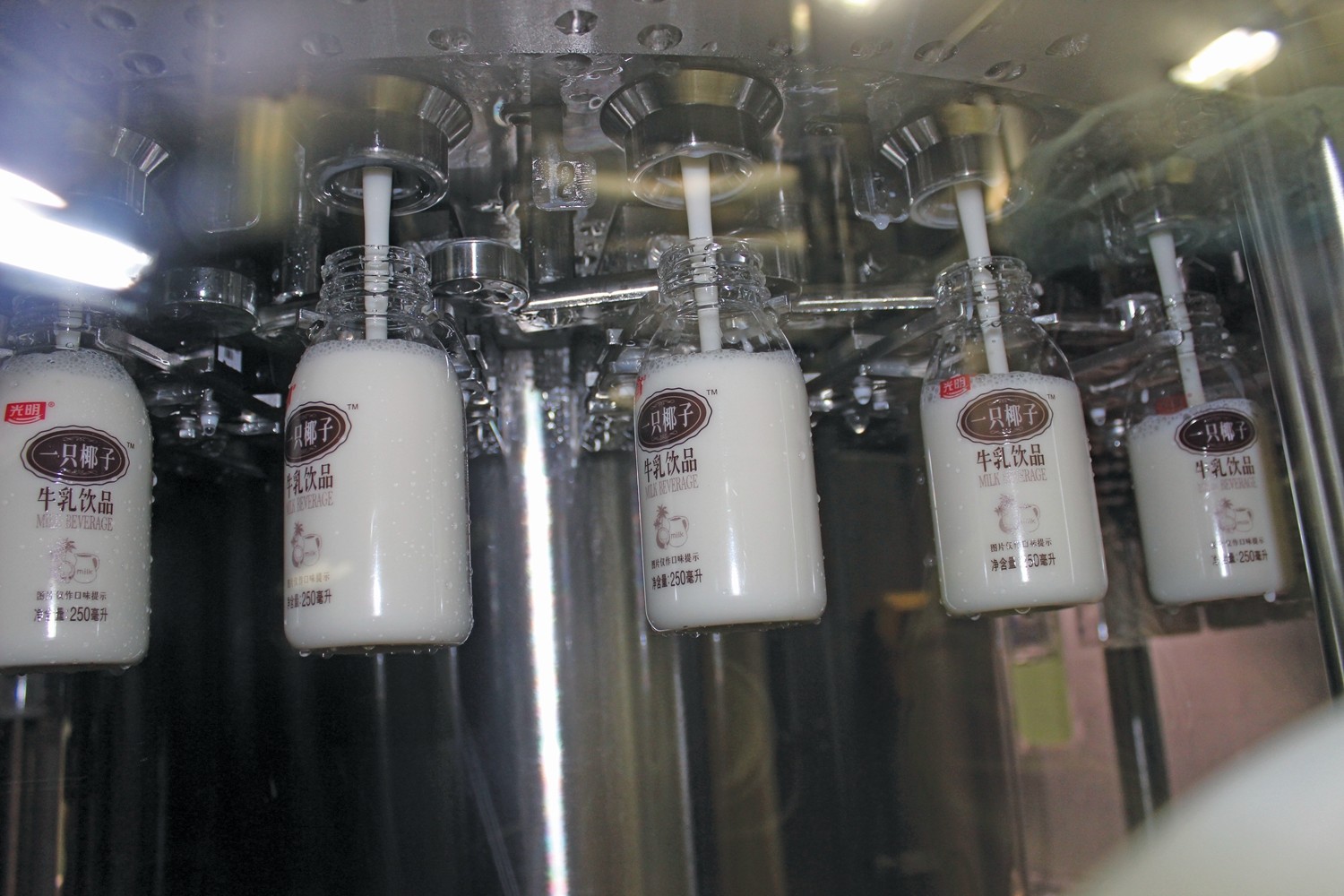36000BPH 55mm 105mm Diameter Aseptic Cold Filling Machine