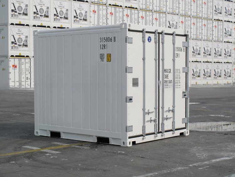 Minus 30- 30C Inside Temperature 10ft Thermo King Refrigerator for Cold Room Reefer Container and Storage