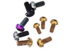 Titanium Alloy Screw Motorcycle Brake Disc Screw with Customized Colorful