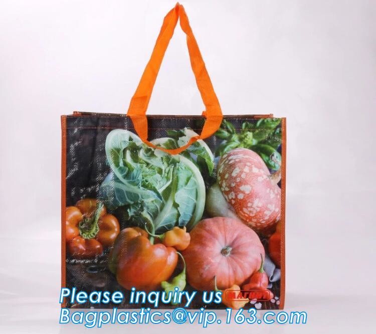 Custom Huge Luggage PP Woven Bag With Zipper Lock,PP Woven Shopping Bag,Factory customized cheap laminated pp woven shop