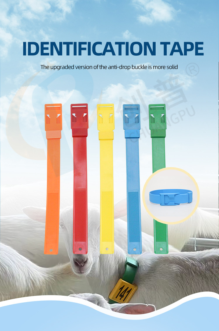 Colorful EVA Cow Leg / Goat Leg Strap Belt Solid Pattern Wipe Clean For Daily Wear