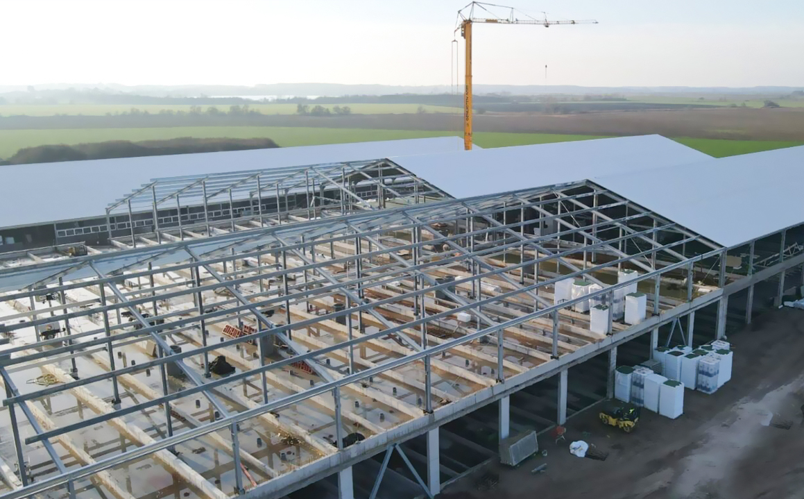 Aluminum Alloy Window Prefab Steel Construction Agricultural Building for Cattle Barn