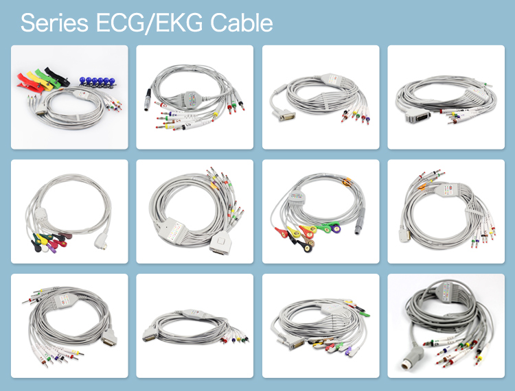 Fukuda OEM Ekg Ecg Cable Denshi FX-2111 FX-3010 FX-4010 FCP-2155 10 Lead Ecg Cable