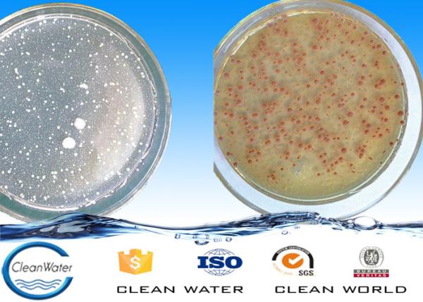Powder Cod Degradation Bacterial Agents Ph 5.5~9.5 BV ISO For Waste Water