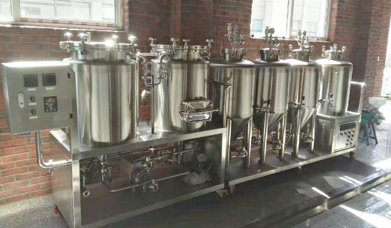 Small Beer Brewery Equipment with 50-100mm Insulation Thickness 100L and 200L Options