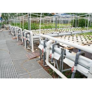 China Auto Circulation PH Stable Dwc Grow System Deep Water Hydroponics on sale